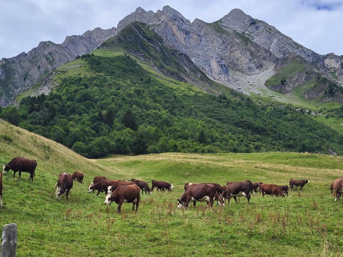 La Petite Anfiane Villa Le Grand-Bornand Luaran gambar